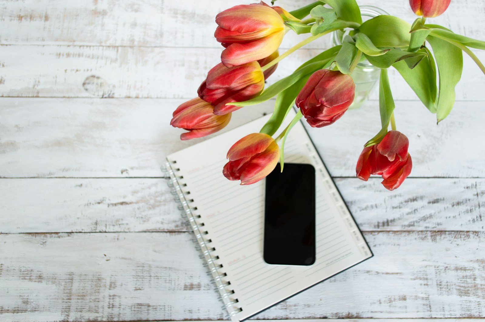 Ein Handy auf einem offenen Wochenplaner unter roten Tulpen auf weißem Holz